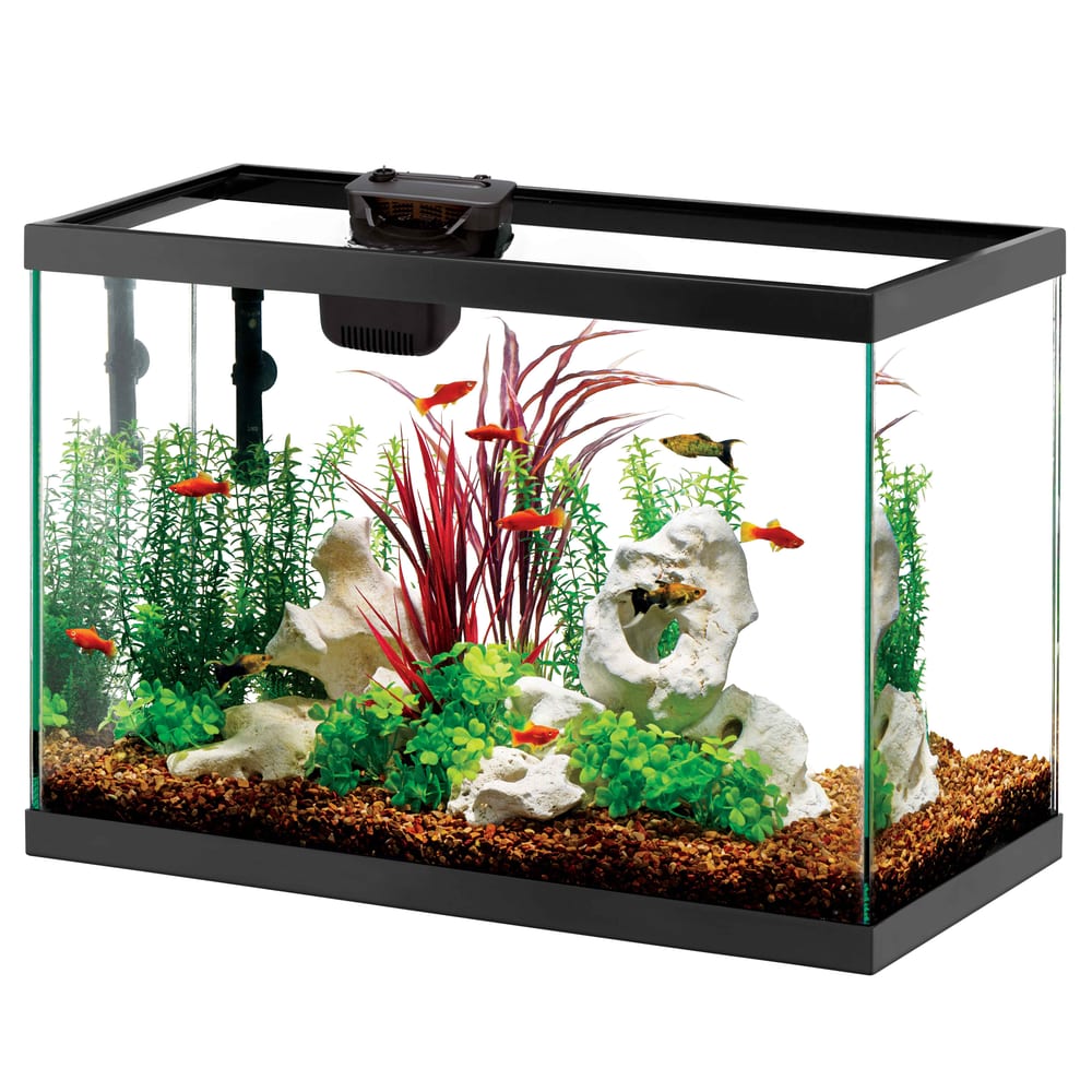 Kit de inicio de acuario de cristal Aqueon LED de 20 galones (75 litros) con filtro SmartClean