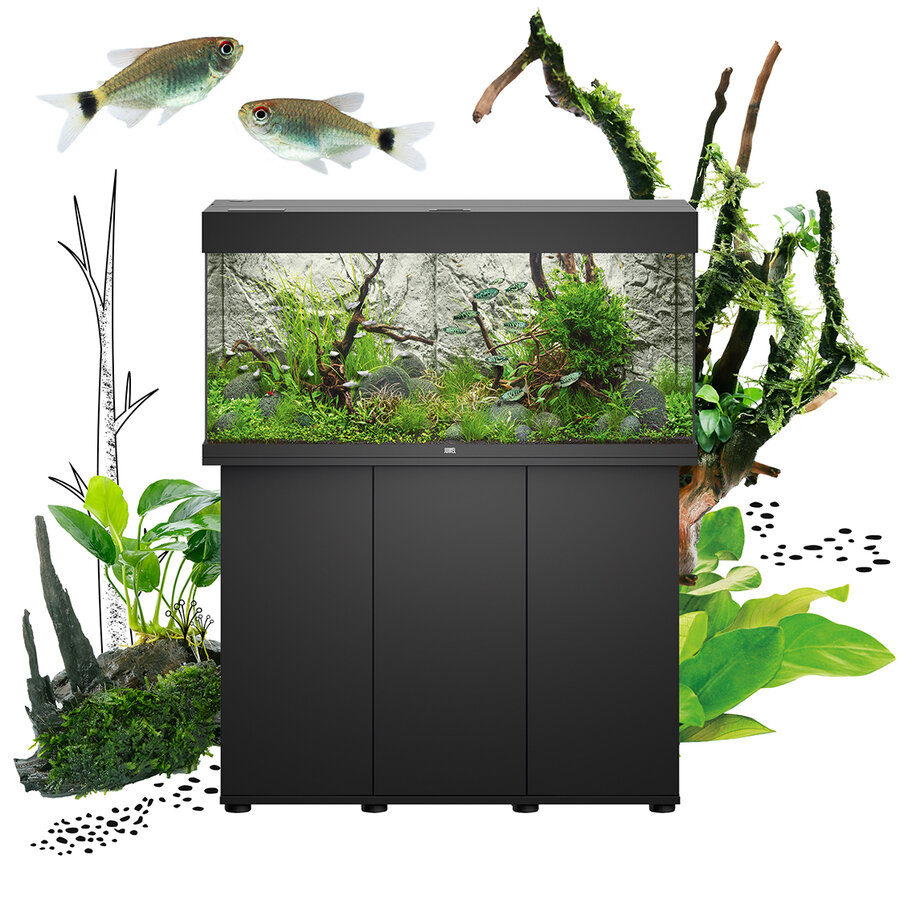 Acuario Juwel Rio 180 LED en negro sobre mueble a juego con aquascape plantado