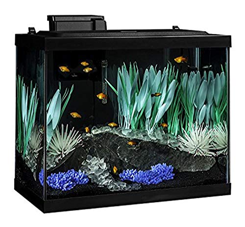 Kit de acuario Tetra ColorFusion de 75 litros con LED que cambia de color y filtro Whisper
